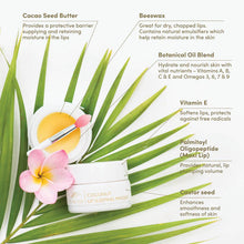 Load image into Gallery viewer, Pure Fiji - Coconut Lip Sleeping Masque
